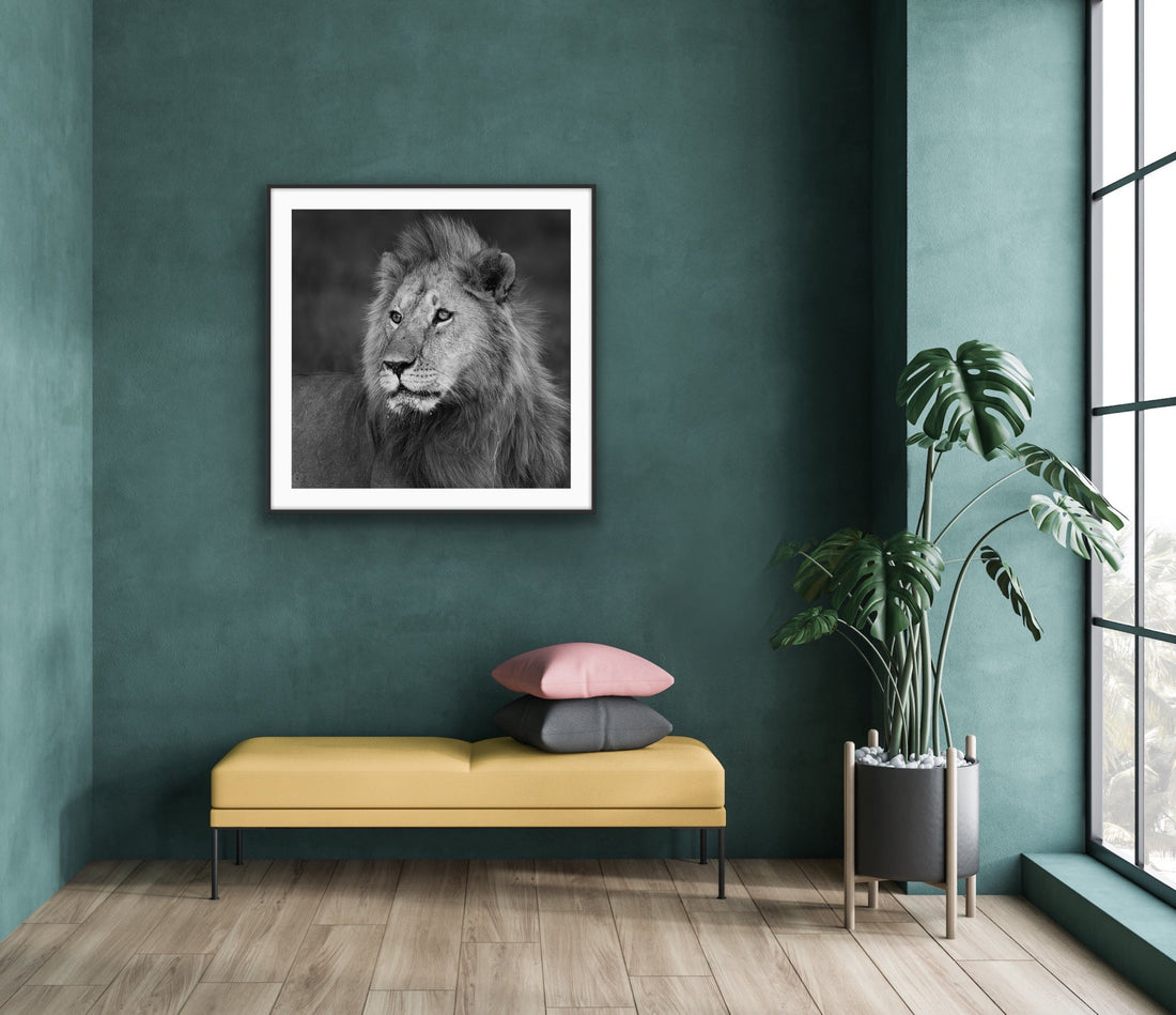 African Wildlife Fine Art for Period and Modern Homes