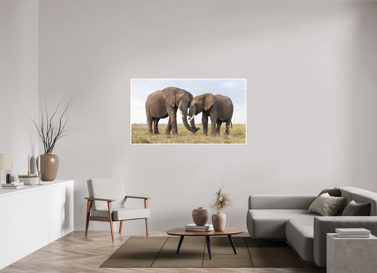 160 x 90 cm, Unframed Fine Art Giclée print on Hahnemühle Photo Rag paper with 1cm border Intimate Moments I - Colour