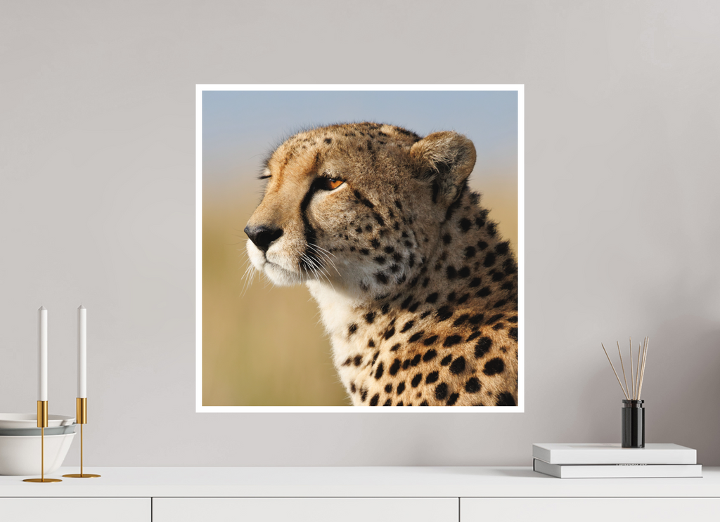 50 x 50 cm, Unframed Fine Art Giclée print on Hahnemühle Photo Rag paper with 1cm border Kulete IV