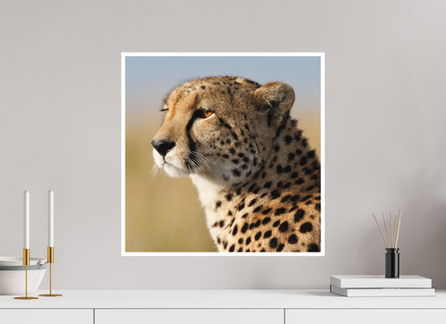 50 x 50 cm, Unframed Fine Art Giclée print on Hahnemühle Photo Rag paper with 1cm border Kulete IV