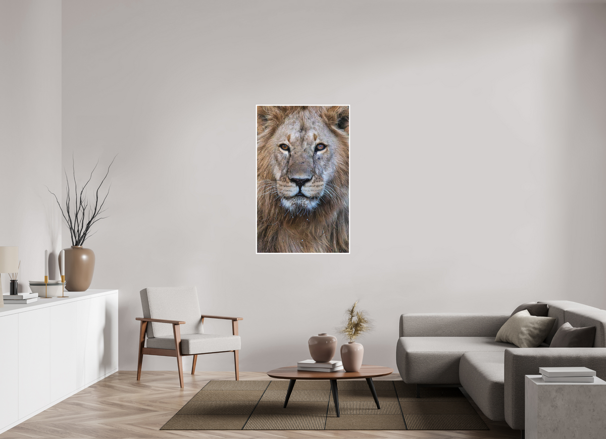 80 x 128 cm, Unframed Fine Art Giclée print on Hahnemühle Photo Rag paper with 1cm border Rudi II