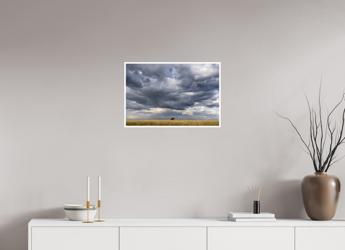 60 x 40 cm, Unframed Fine Art Giclée print on Hahnemühle Photo Rag paper with 1cm border Awesome I - Colour