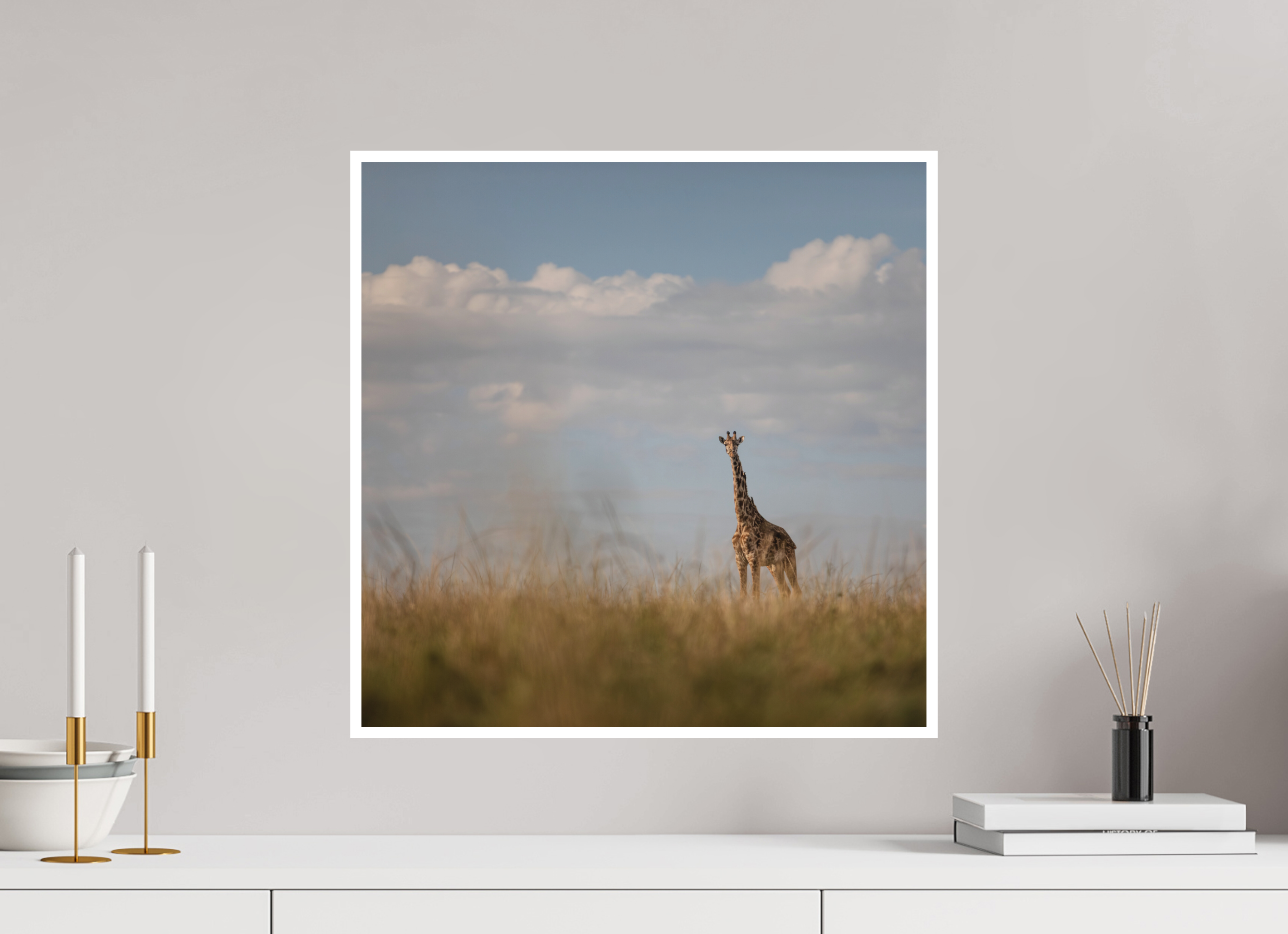 50 x 50 cm, Unframed Fine Art Giclée print on Hahnemühle Photo Rag paper with 1cm border Giraffe I
