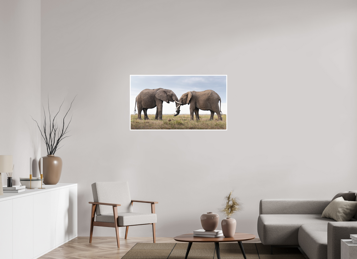 112 x 63 cm, Unframed Fine Art Giclée print on Hahnemühle Photo Rag paper with 1cm border Intimate Moments III - Colour