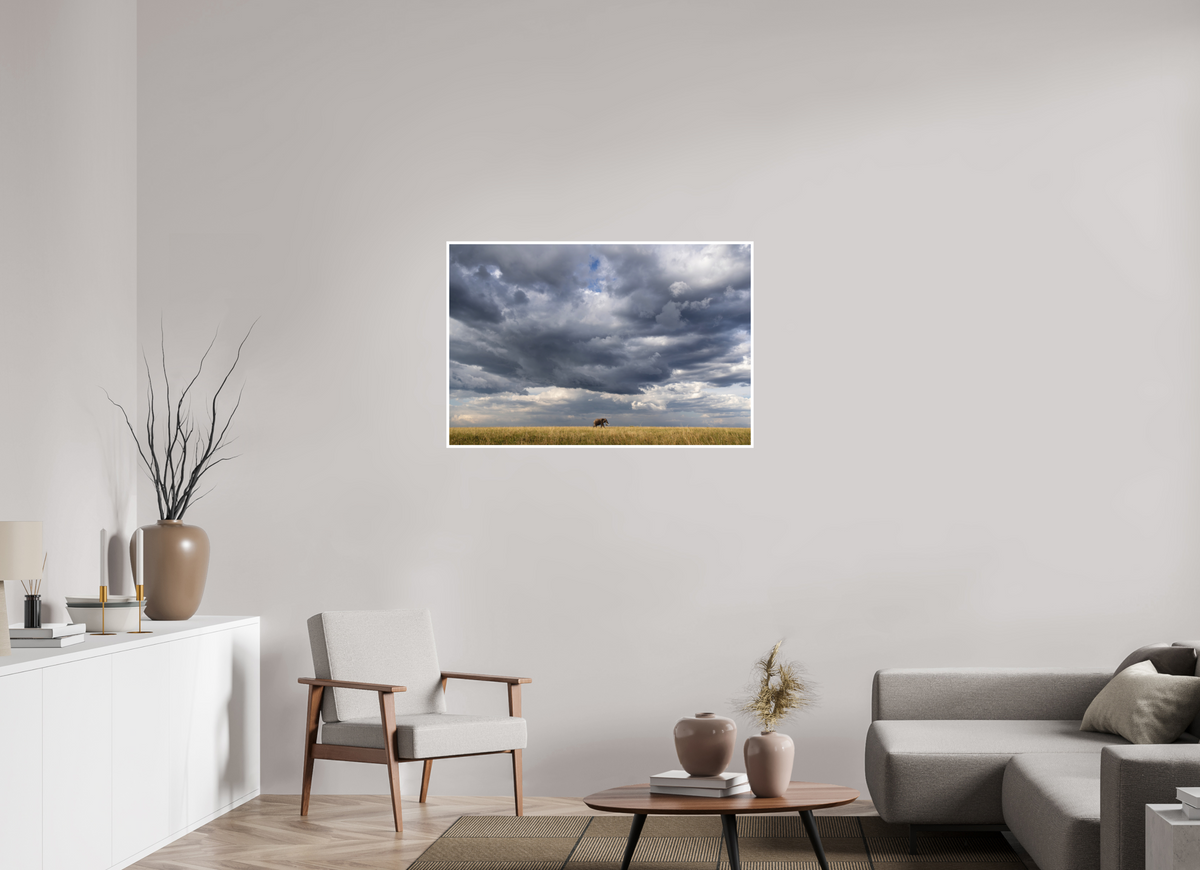 105 x 70 cm, Unframed Fine Art Giclée print on Hahnemühle Photo Rag paper with 1cm border The Long Walk - Colour