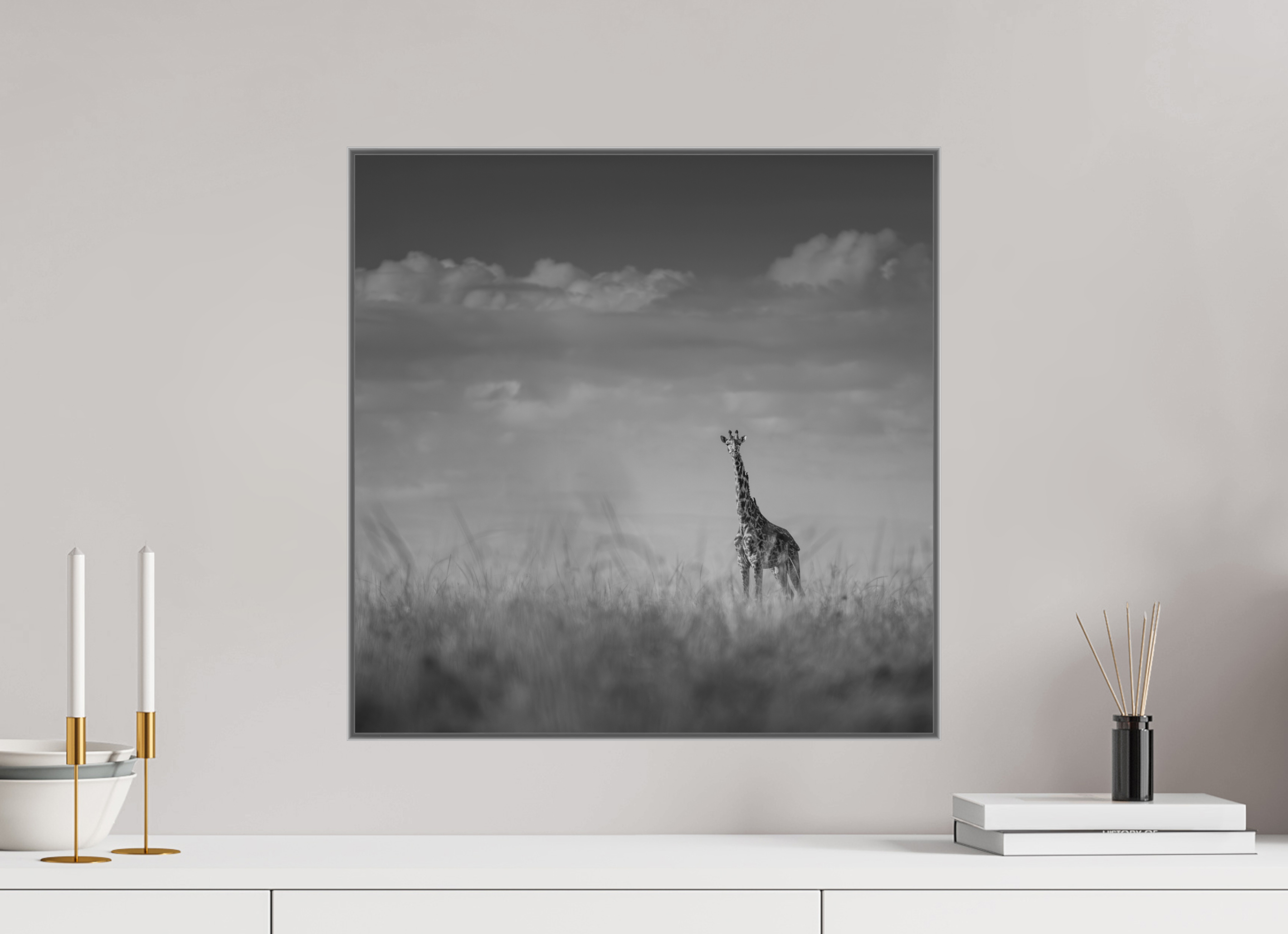 50 x 50 cm, Framed in Aluminium Art Box Printed on Ilford BW Photo Print under Acrylic Glass - w-out border Giraffe I