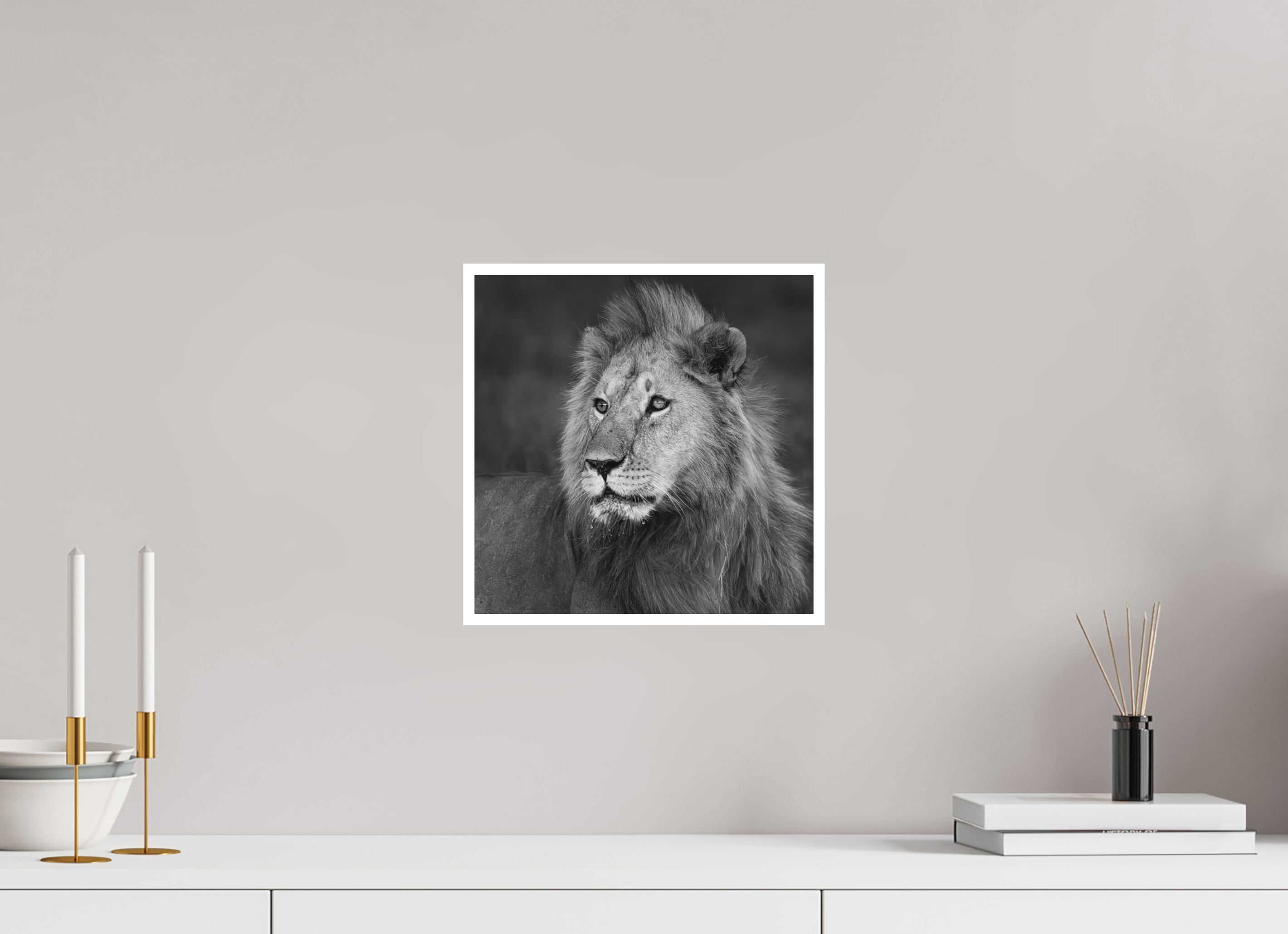 30 x 30 cm, Unframed Fine Art Giclée print on Hahnemühle Photo Rag paper with 1cm border Rudi