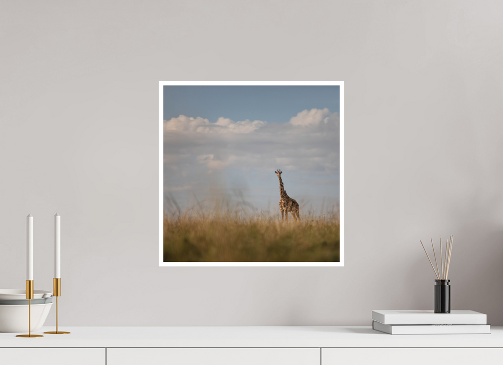 40 x 40 cm, Unframed Fine Art Giclée print on Hahnemühle Photo Rag paper with 1cm border Giraffe I