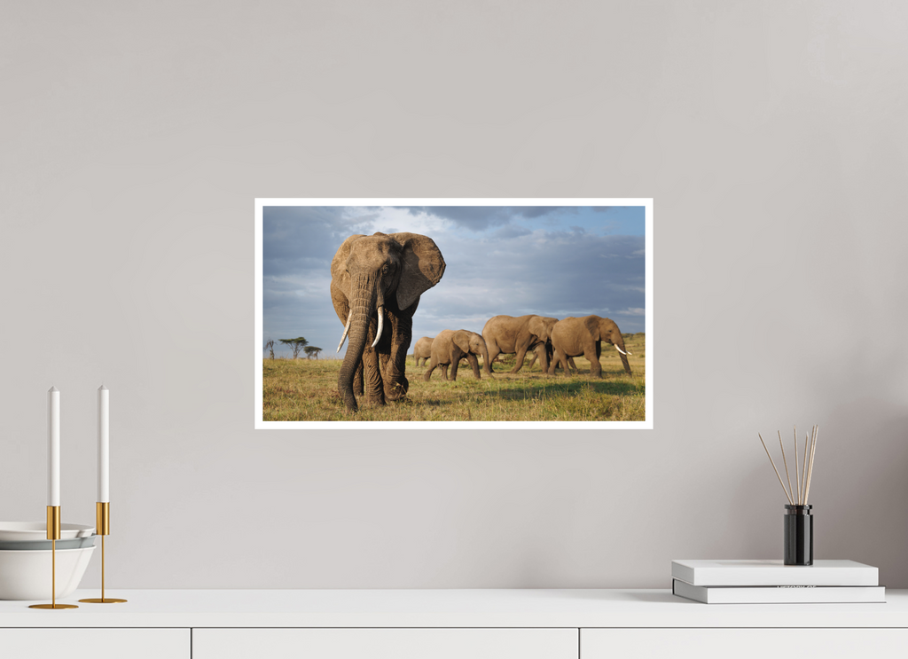 48 x 27 cm, Unframed Fine Art Giclée print on Hahnemühle Photo Rag paper with 1cm border Elephant and Family