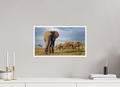 48 x 27 cm, Unframed Fine Art Giclée print on Hahnemühle Photo Rag paper with 1cm border Elephant and Family