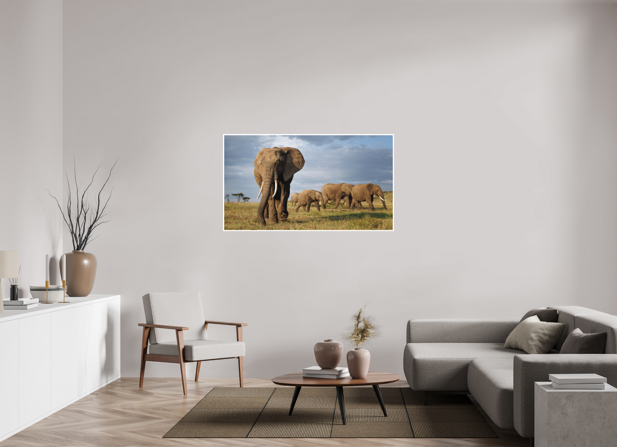 144 x 81 cm, Unframed Fine Art Giclée print on Hahnemühle Photo Rag paper with 1cm border Elephant and Family - Colour