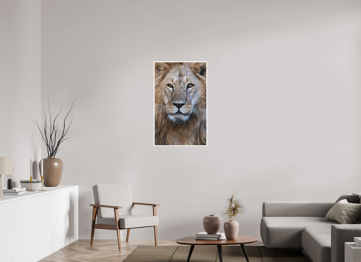 60 x 96 cm, Unframed Fine Art Giclée print on Hahnemühle Photo Rag paper with 1cm border Rudi II