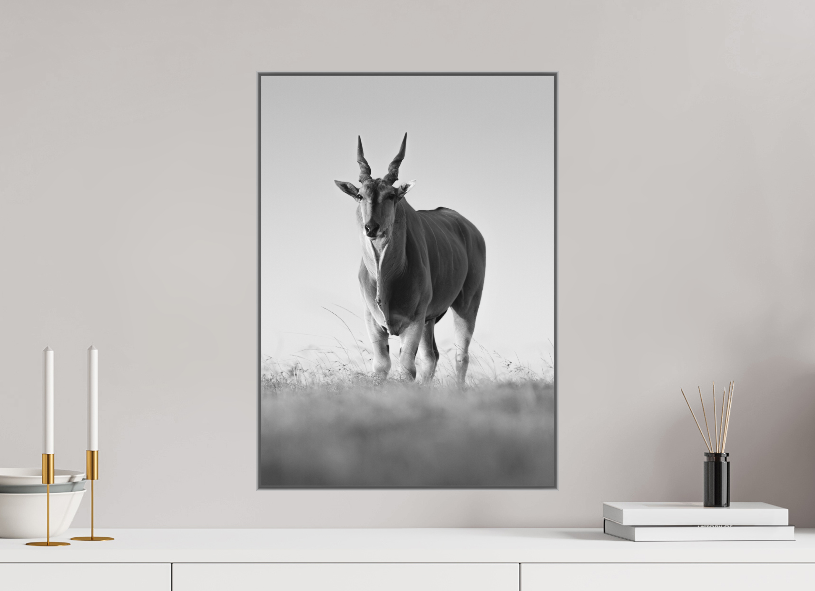 40 x 56 cm, Framed in Aluminium Art Box Printed on Ilford BW Photo Print under Acrylic Glass - w-out border Elland antelope