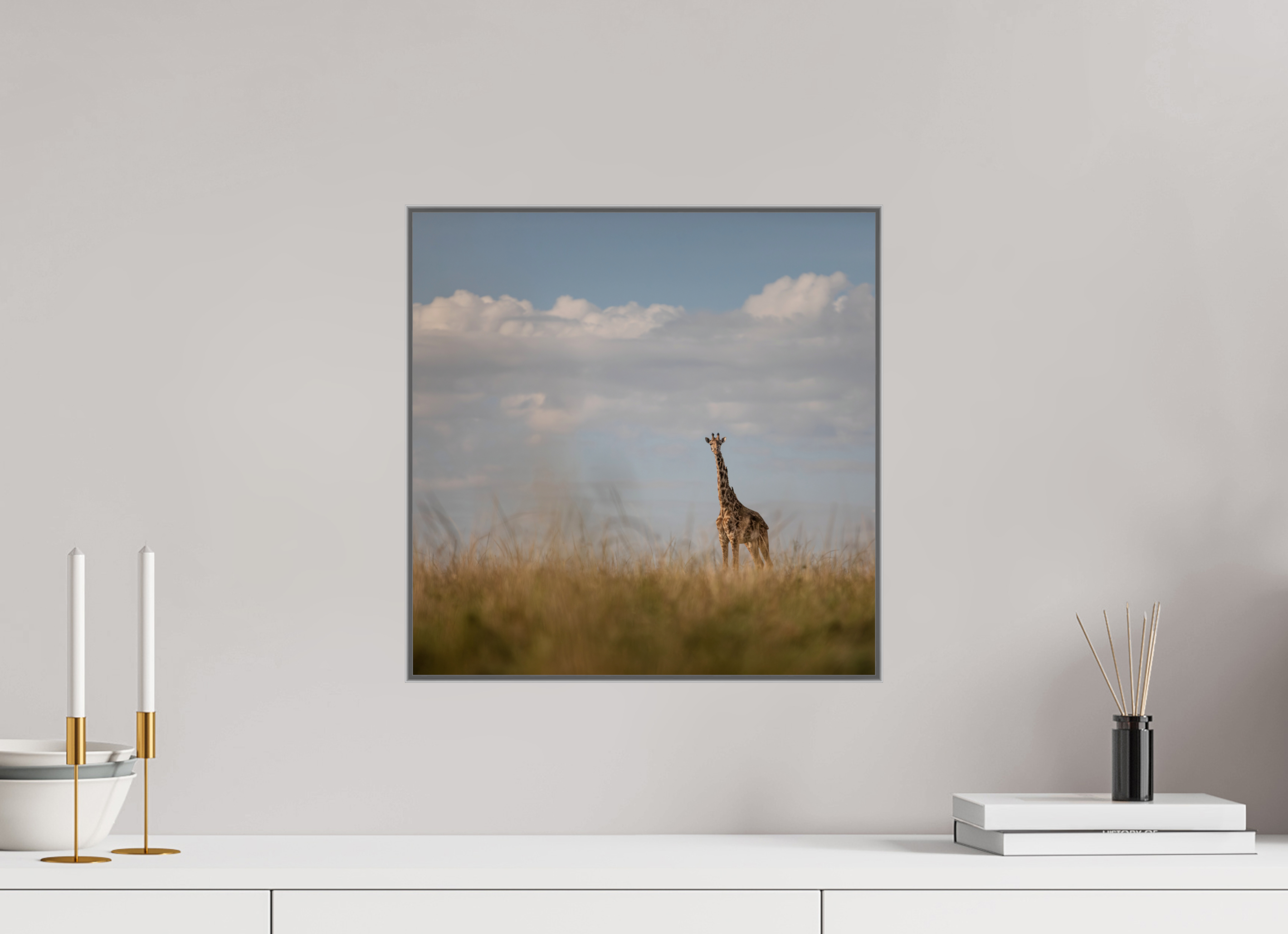 40 x 40 cm, Framed in Aluminium Art Box printed on Fuji Crystal Glossy paper w-out border Giraffe I