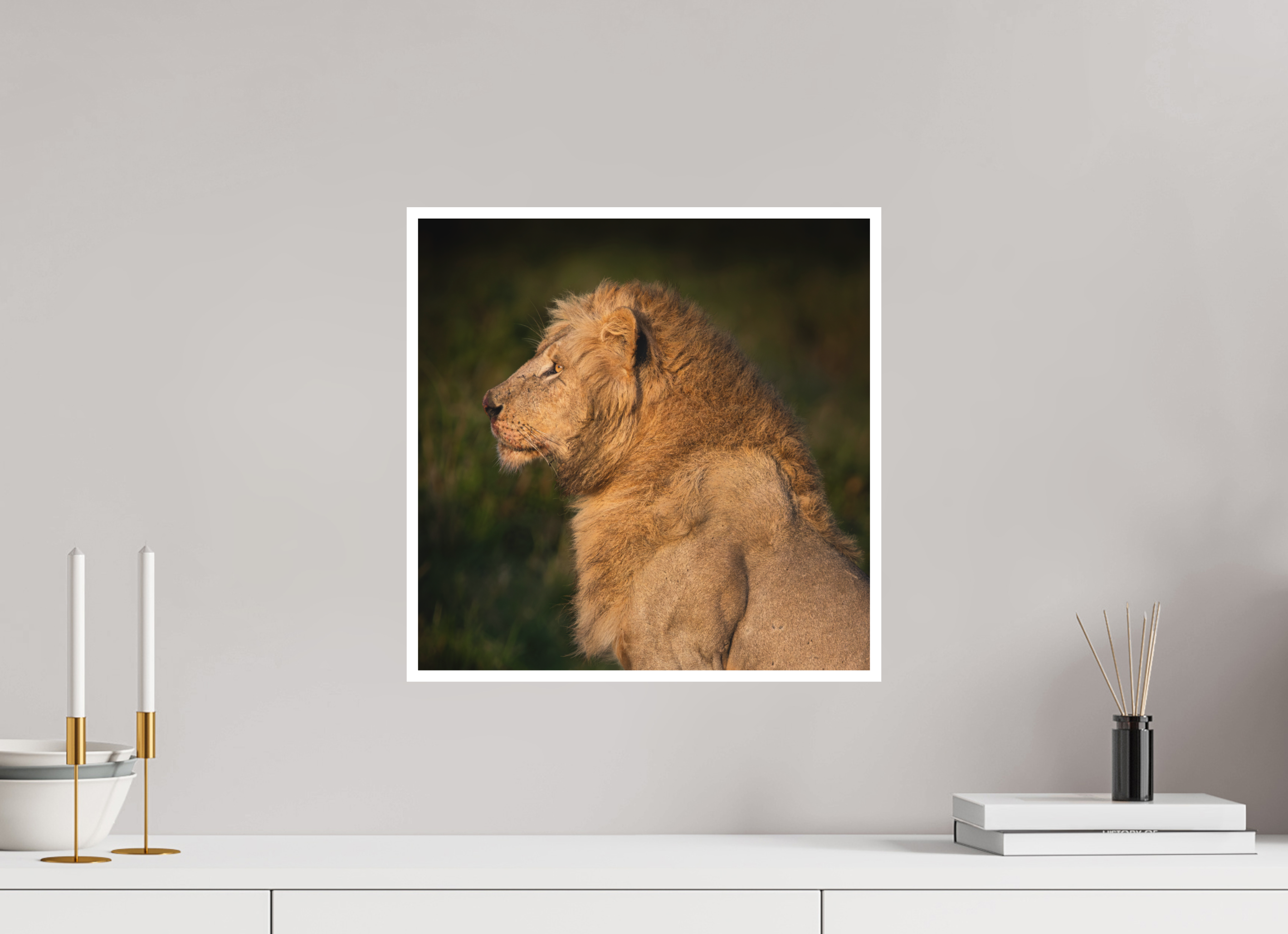 40 x 40 cm, Unframed Fine Art Giclée print on Hahnemühle Photo Rag paper with 1cm border Heavy is the Crown: Lion portrait