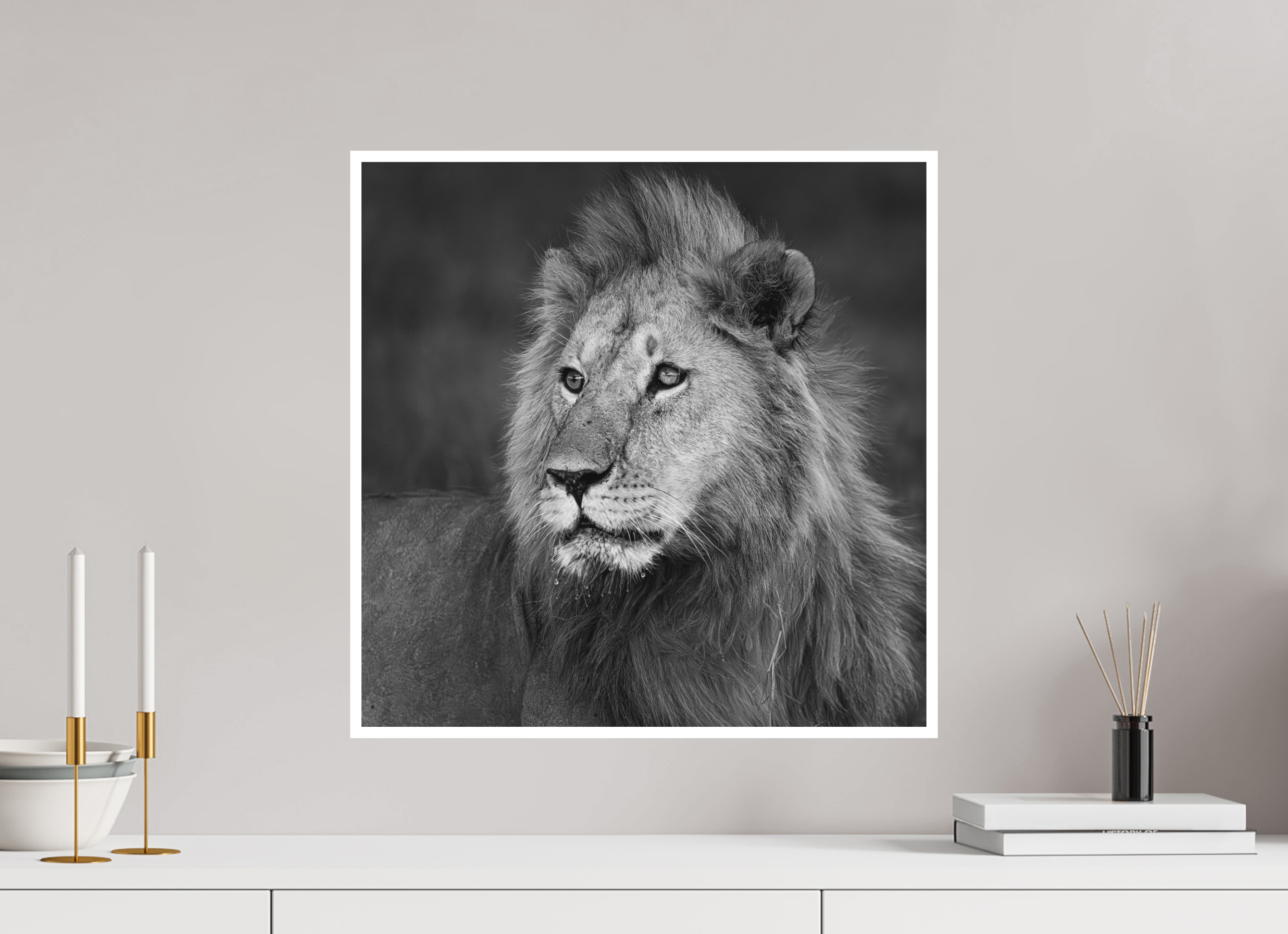 50 x 50 cm, Unframed Fine Art Giclée print on Hahnemühle Photo Rag paper with 1cm border Rudi