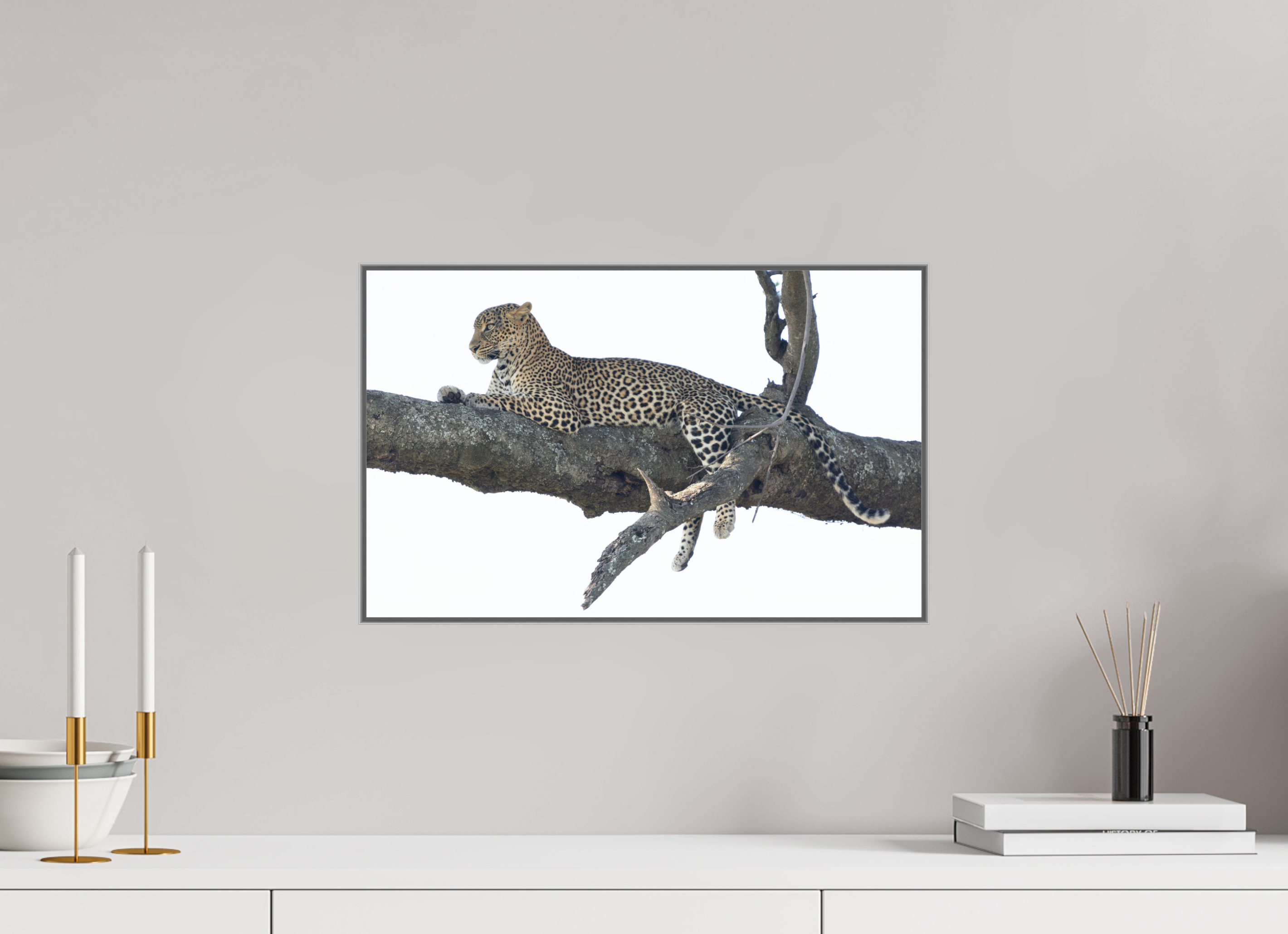 48 x 30 cm, Framed in Aluminium Art Box printed on Fuji Crystal Glossy paper w-out border Ndoto on branch II