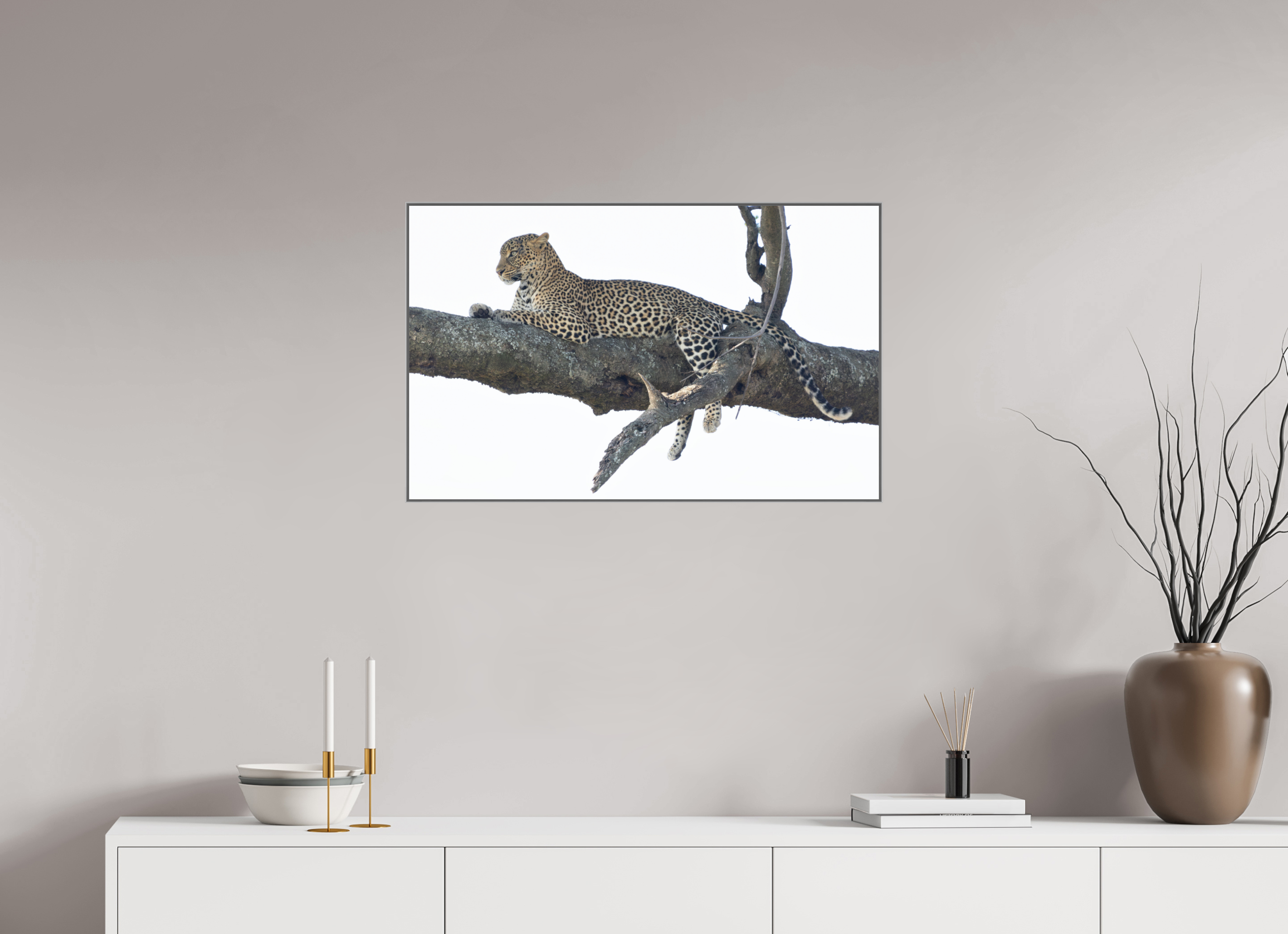 80 x 50 cm, Framed in Aluminium Art Box printed on Fuji Crystal Glossy paper w-out border Ndoto on branch II