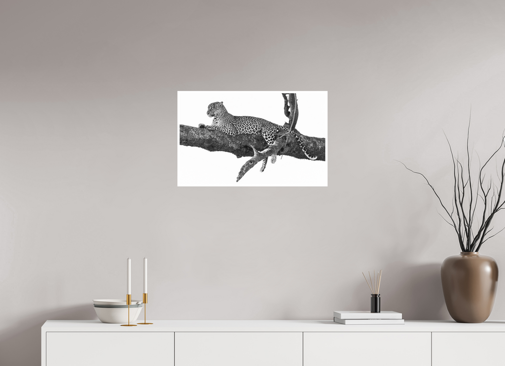 64 x 40 cm, Unframed Fine Art Giclée print on Hahnemühle Photo Rag paper with 1cm border Ndoto on branch II