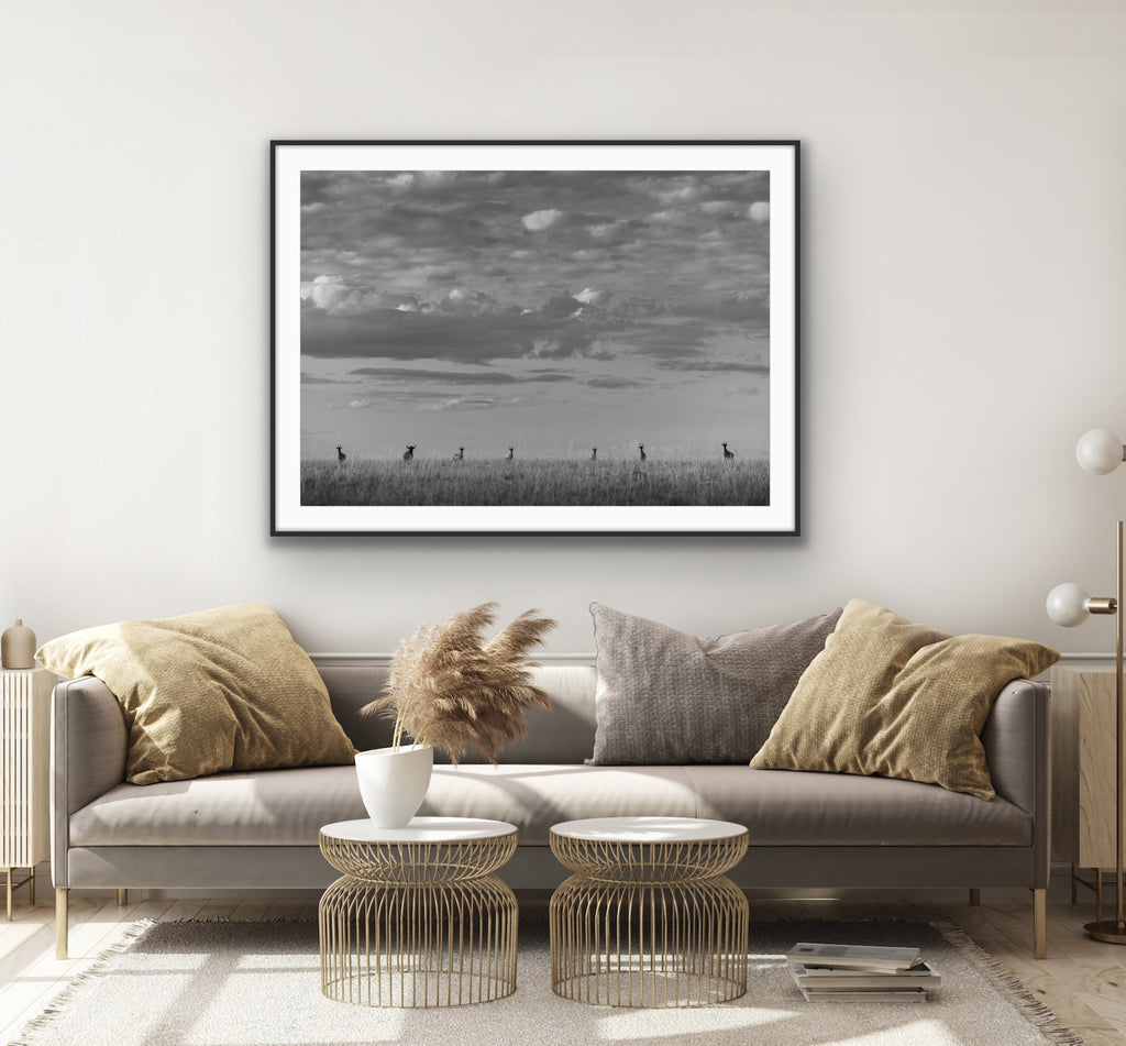 6 Topi and the Wildebeest II