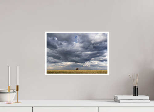 45 x 30 cm, Unframed Fine Art Giclée print on Hahnemühle Photo Rag paper with 1cm border Awesome I