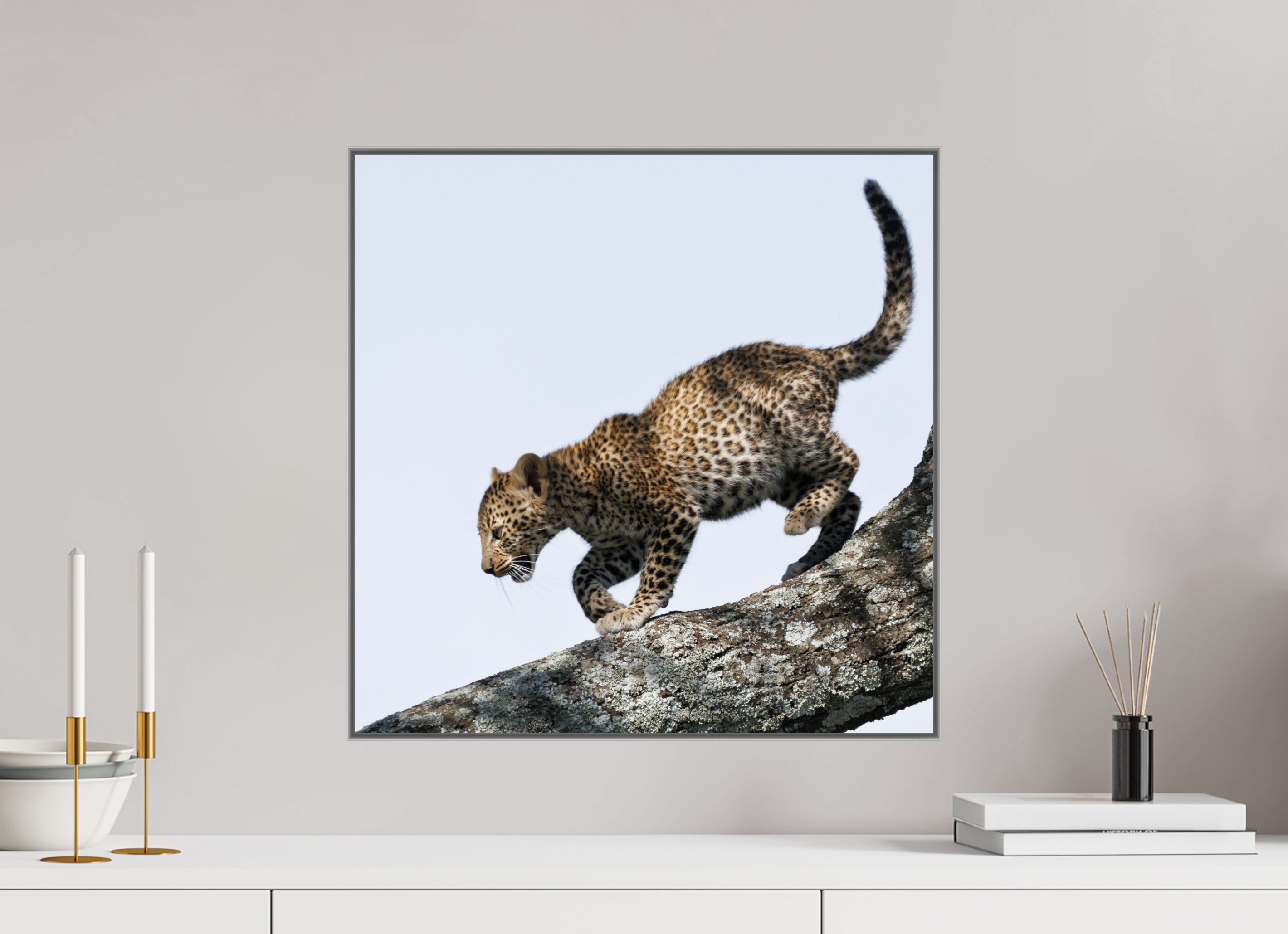 50 x 50 cm, Framed in Aluminium Art Box printed on Fuji Crystal Glossy paper w-out border Namunyak II