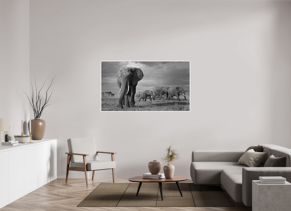 160 x 90 cm, Unframed Fine Art Giclée print on Hahnemühle Photo Rag paper with 1cm border Elephant and family - Black & White