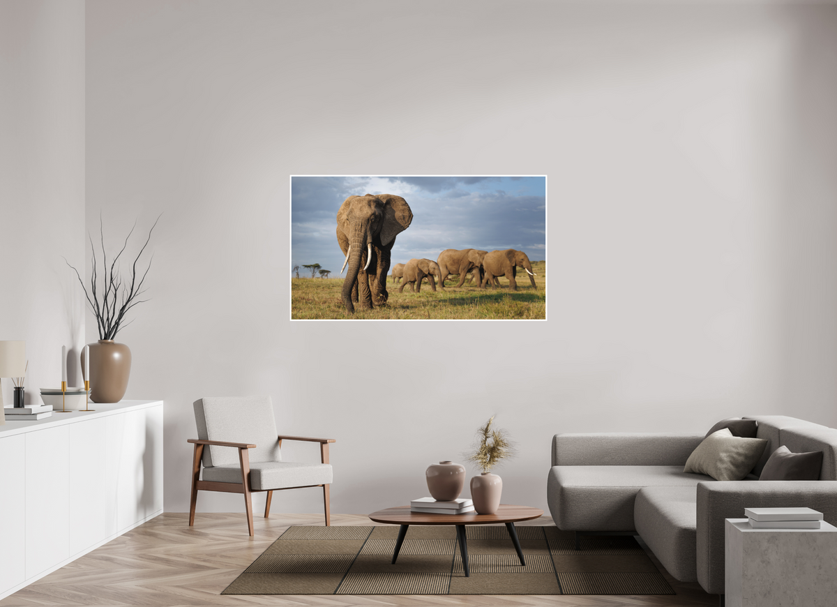 160 x 90 cm, Unframed Fine Art Giclée print on Hahnemühle Photo Rag paper with 1cm border Elephant and Family - Colour