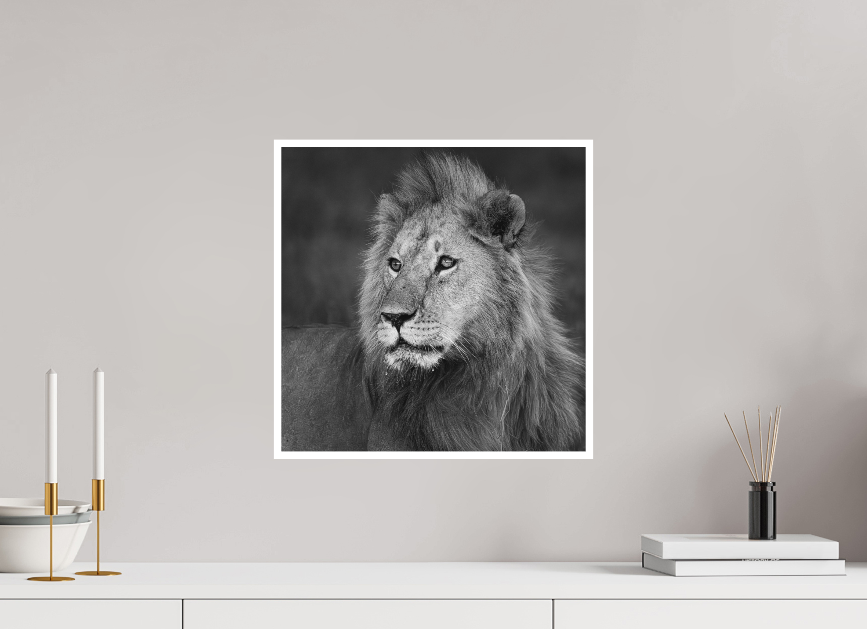 40 x 40 cm, Unframed Fine Art Giclée print on Hahnemühle Photo Rag paper with 1cm border Rudi