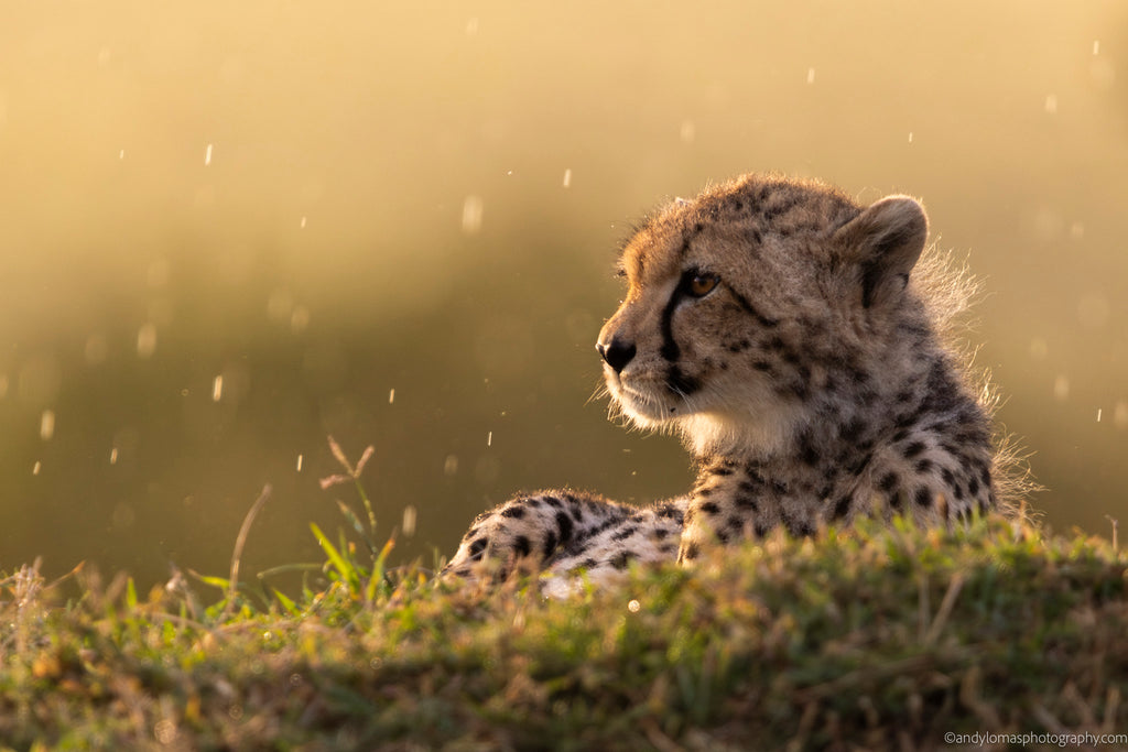 Main image A little damp