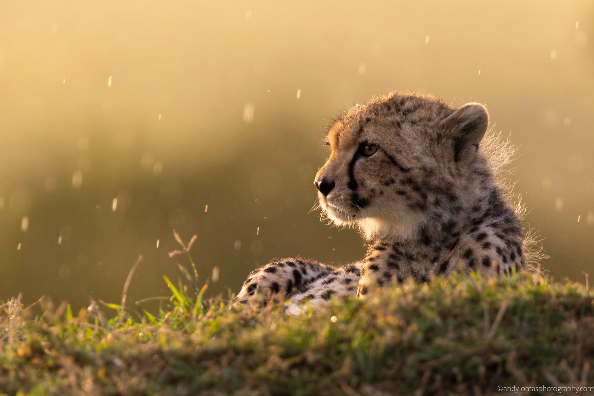 Main image A little damp