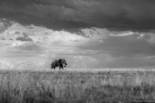 Main image Awesome III