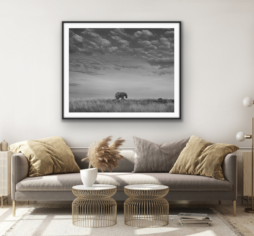 Elephant I