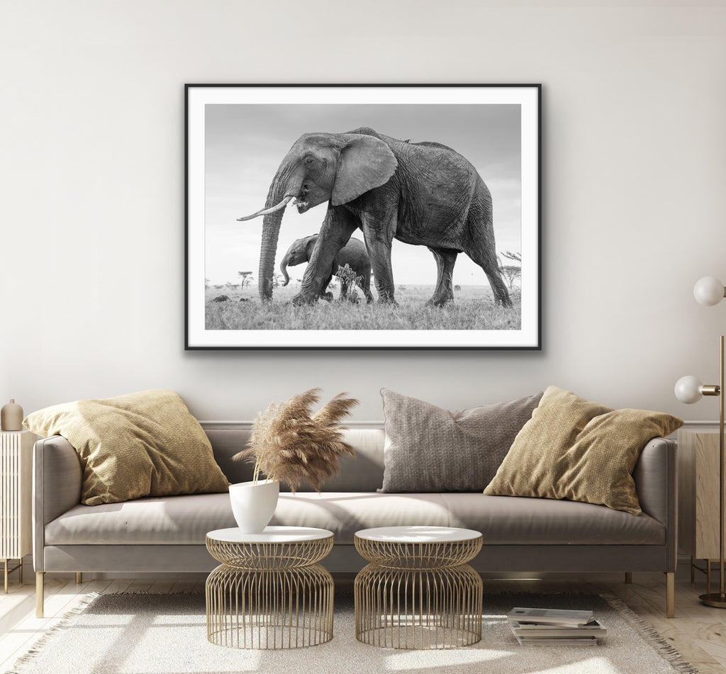 Elephant and Baby III
