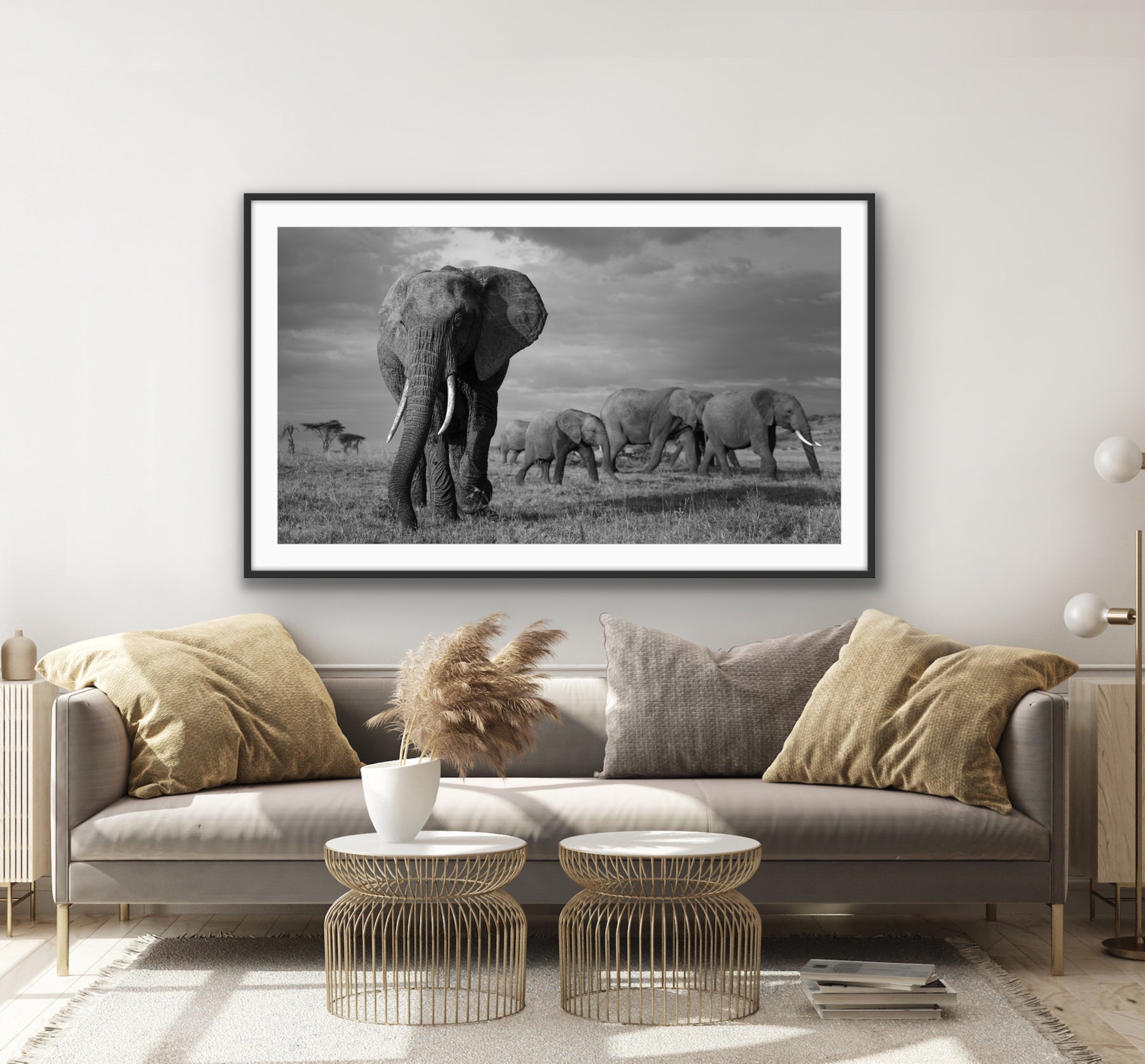 Elephant and family