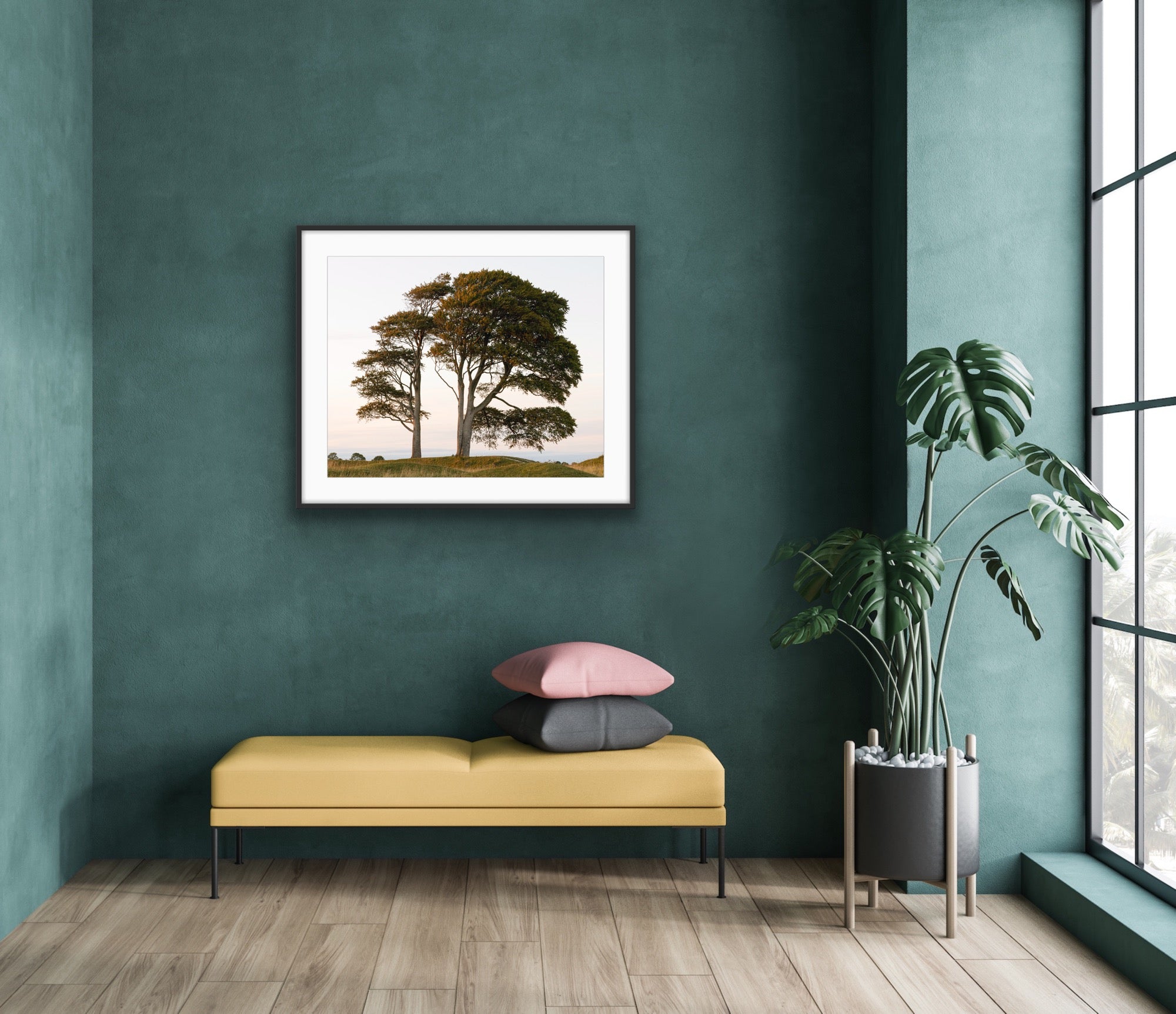 Tree on Roundway Hill