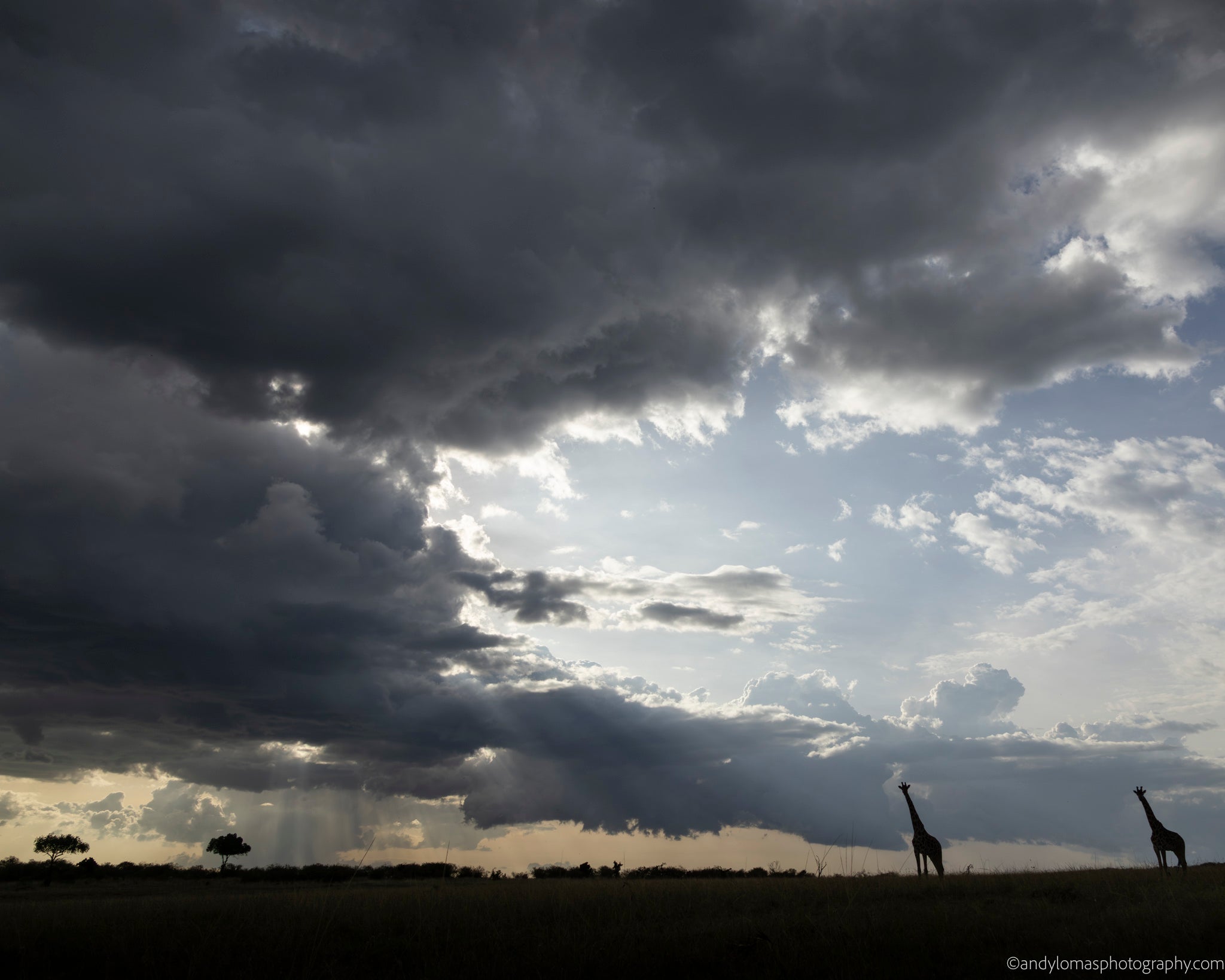 Main image Perspective