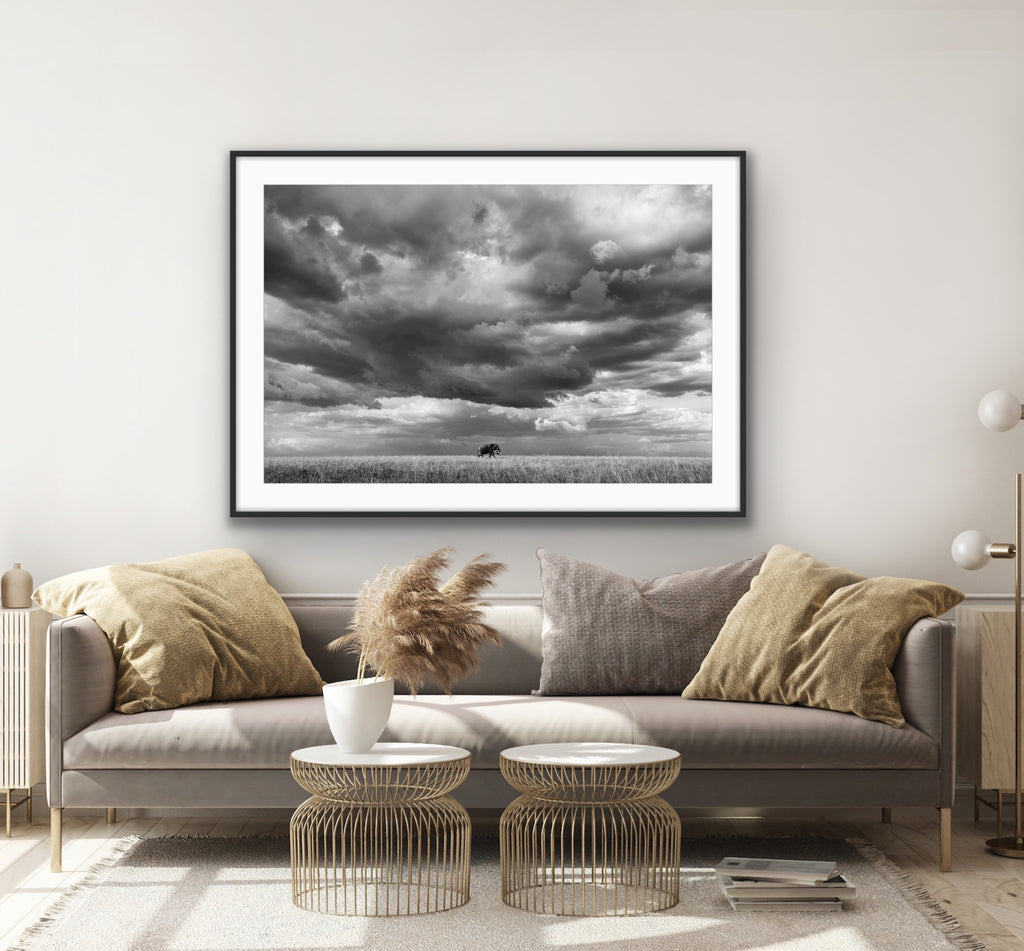 Awarded in BBC wildlife magazine 2026 annual photography competition black and white image of an elephant set against stormy sky on the savanna in Kenya. Room View.