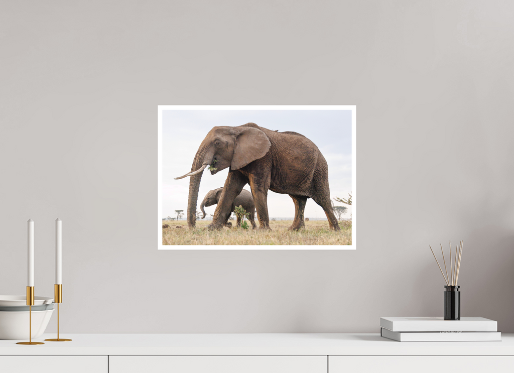 42 x 30 cm, Unframed Fine Art Giclée print on Hahnemühle Photo Rag paper with 1cm border Elephant and Baby III