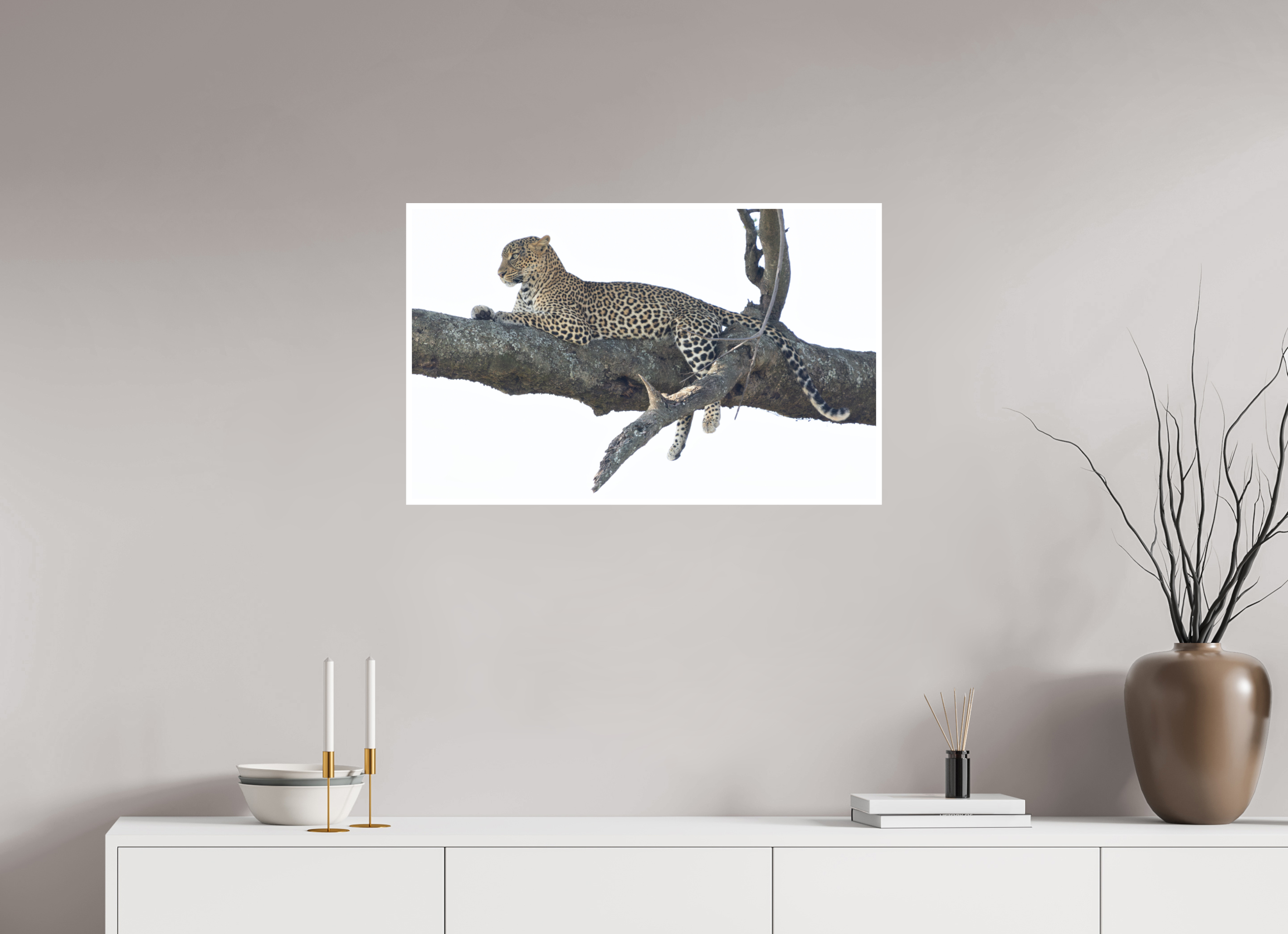 80 x 50 cm, Unframed Fine Art Giclée print on Hahnemühle Photo Rag paper with 1cm border Ndoto on branch II