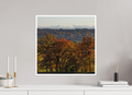 50 x 50 cm, Unframed Fine Art Giclée print on Hahnemühle Photo Rag paper with 1cm border Seefeld II