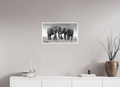 64 x 36 cm, Unframed Fine Art Giclée print on Hahnemühle Photo Rag paper with 1cm border Intimate Moments I