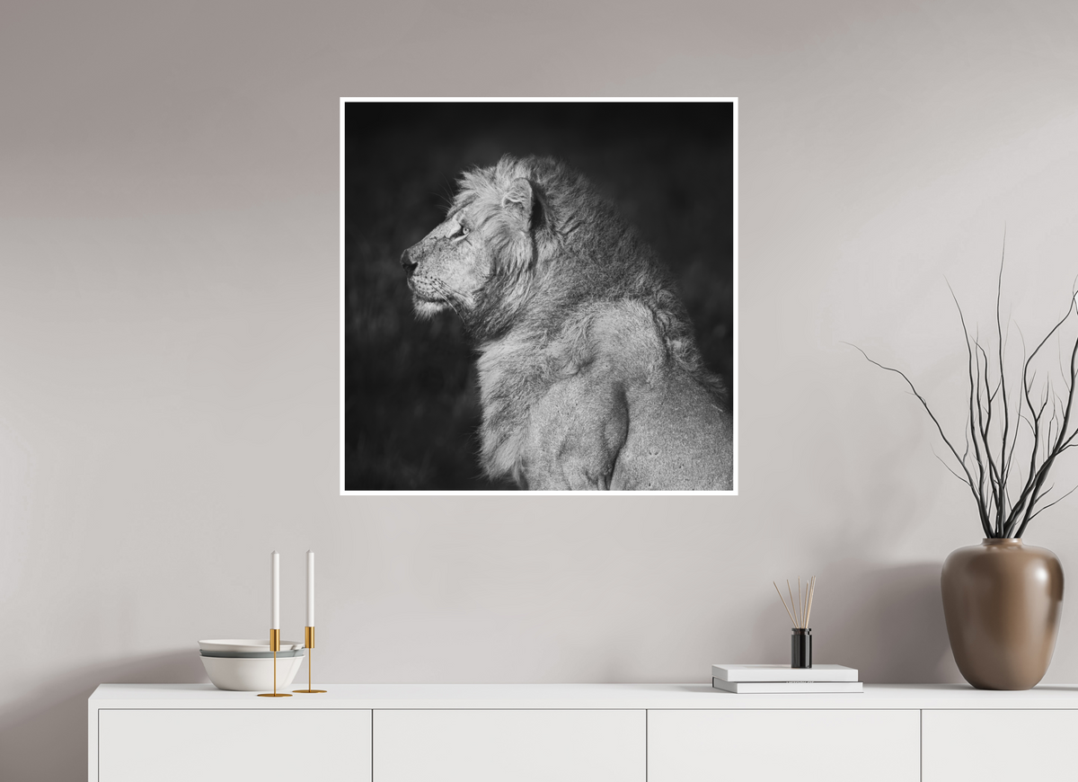 80 x 80 cm, Unframed Fine Art Giclée print on Hahnemühle Photo Rag paper with 1cm border Heavy is the Crown - Black & White