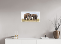 64 x 36 cm, Unframed Fine Art Giclée print on Hahnemühle Photo Rag paper with 1cm border Intimate Moments I