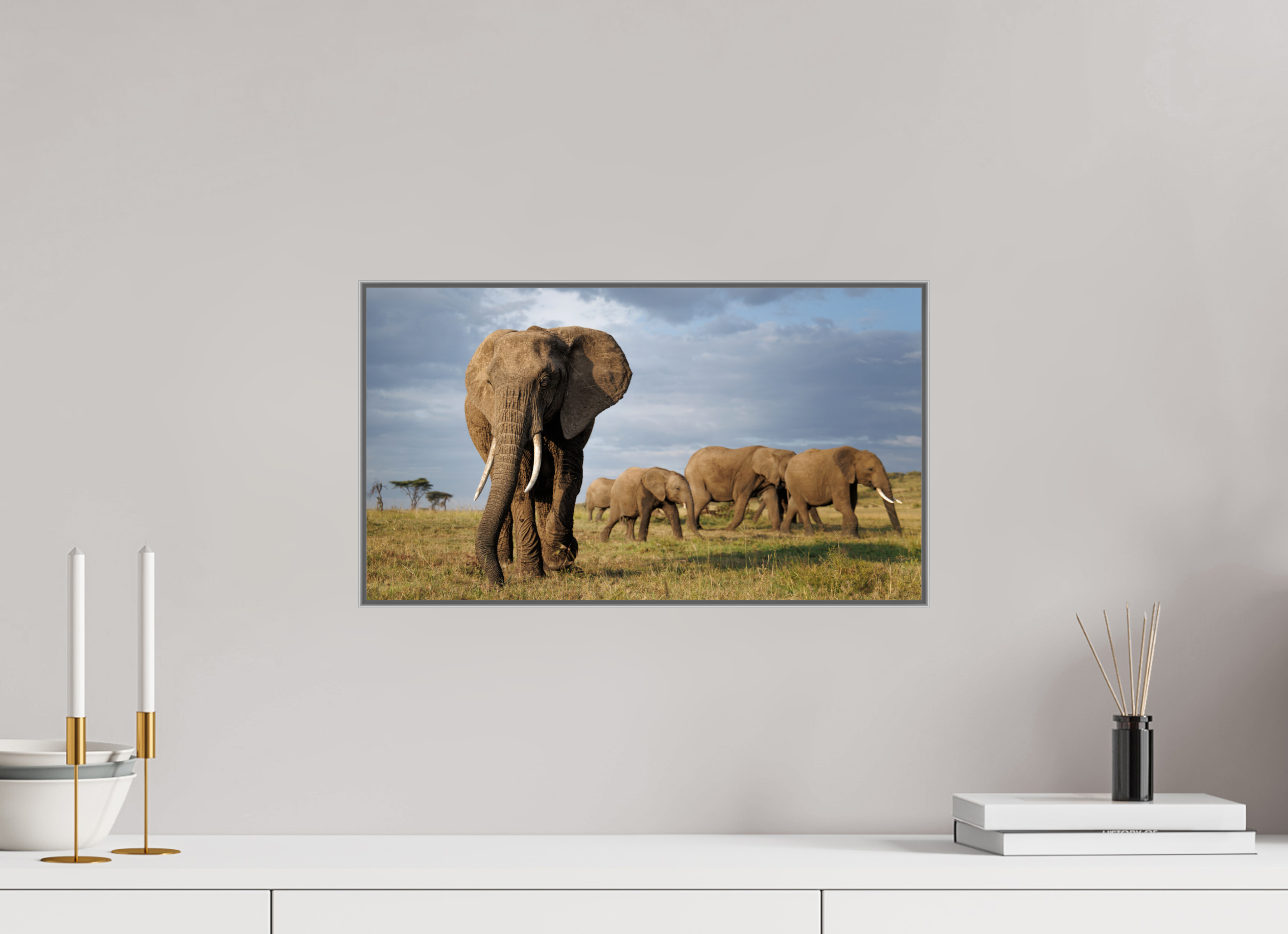48 x 27 cm, Framed in Aluminium Art Box printed on Fuji Crystal Glossy paper w-out border Elephant and Family