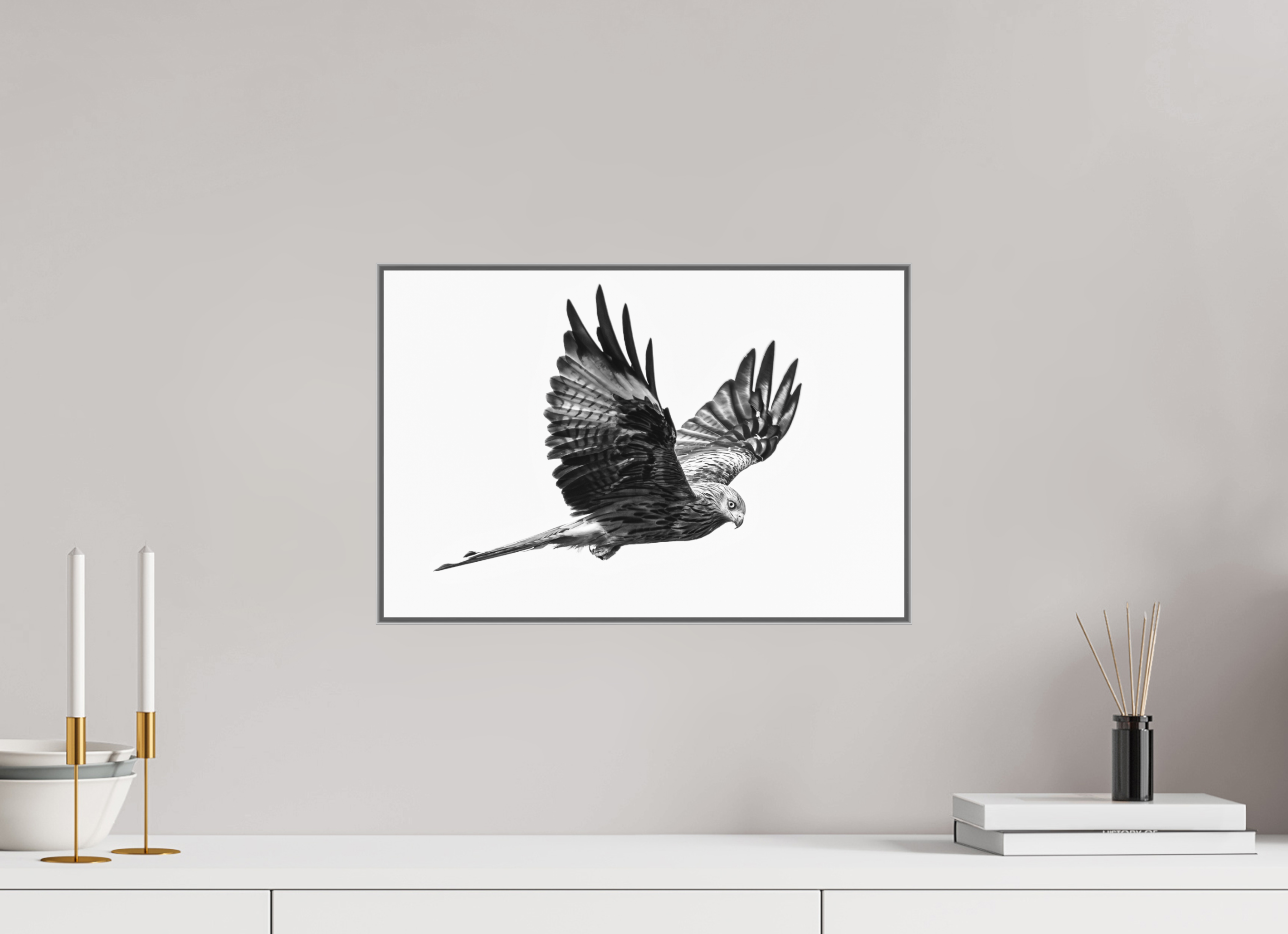 45 x 30 cm, Framed in Aluminium Art Box Printed on Ilford BW Photo Print under Acrylic Glass - w-out border Red Kite I