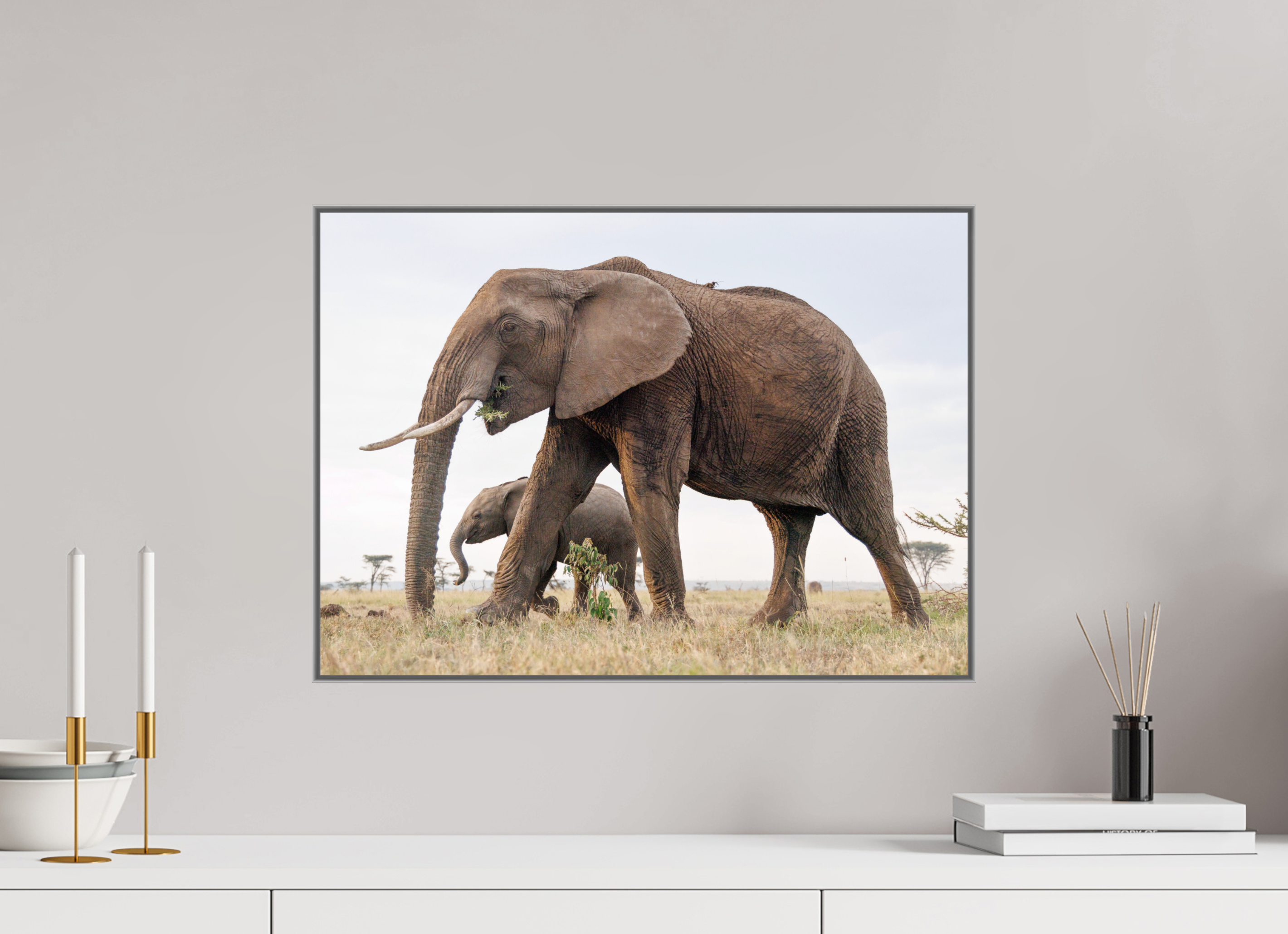 56 x 40 cm, Framed in Aluminium Art Box printed on Fuji Crystal Glossy paper w-out border Elephant and Baby