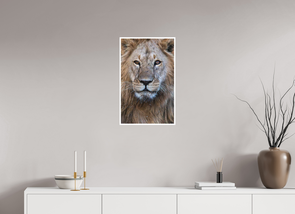 40 x 64 cm, Unframed Fine Art Giclée print on Hahnemühle Photo Rag paper with 1cm border Rudi II