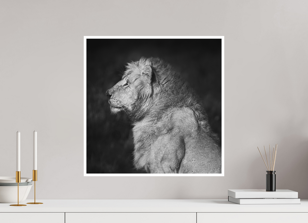 50 x 50 cm, Unframed Fine Art Giclée print on Hahnemühle Photo Rag paper with 1cm border Heavy is the Crown