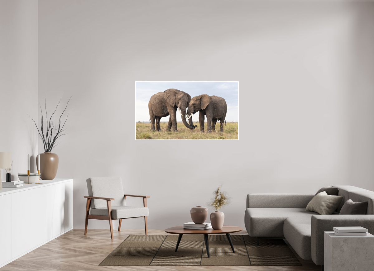 144 x 81 cm, Unframed Fine Art Giclée print on Hahnemühle Photo Rag paper with 1cm border Intimate Moments I - Colour